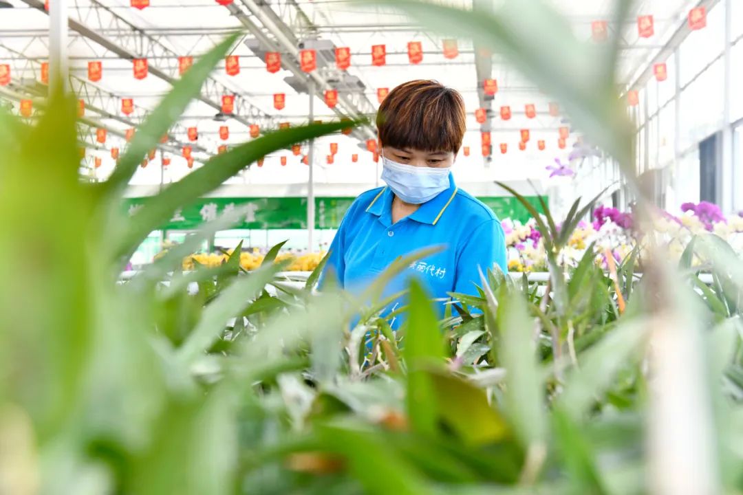 1654674564914935.jpg 2.jpg