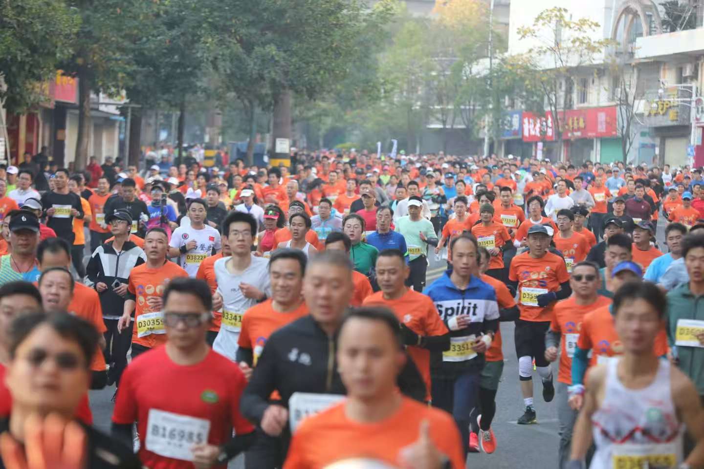 1734580767131298.jpg 3.jpg